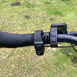 (UK Stock 2-7 Working Days Delivery) Coswheel CT20S 2000W Motor (Rated 1500W) 40 Mph (65Km/h Top Speed) 60V 27.5AH 20 Inch Electric Bike