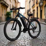 (UK Stock 3-7 Working Days Delivery) DUOTTS C29 Pro 750W Motor 25km/h 48V/15Ah 29 Inch Electric Bike