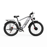 (UK Stock 3-7 Working Days Delivery) DUOTTS F26  750W Motor 25km/h 48V/20Ah 26 Inch Electric Bike