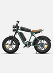 (UK STOCK 3-7 WORKING DAYS DELIVERY) ENGWE M20 750W MOTOR 1000W PEAK POWER  45KM/H 48V 13AH/26AH 20 INCH ELECTRIC BIKE