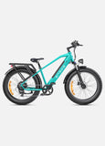 (UK STOCK 3-7 WORKING DAYS DELIVERY) ENGWE E26 250W MOTOR 25KM/H 48V/16AH 26 INCH ELECTRIC BIKE