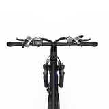 (UK Stock 3-7 Working Days Delivery) DUOTTS C29-L 750W Motor 25km/h 48V/15Ah 29 Inch Electric Bike