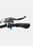 (UK STOCK 3-7 WORKING DAYS DELIVERY) ENGWE EP-2 Boost 250W MOTOR 25KM/H 48V/13AH 20 INCH ELECTRIC BIKE