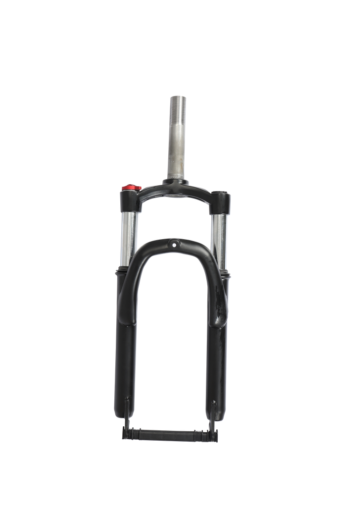 Bicycle Fiido M1 Accessori Fiido M1 Pro Fat Tire Electric Bike