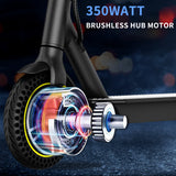 10 Inch HAPPYRUN  HR365MAX   Electric folding scooter 350W Adult